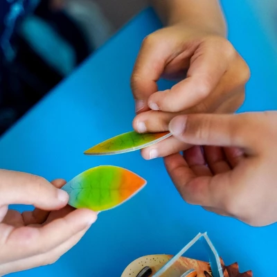 HABA Hedgehog Haberdash Memory Game (Made In Germany) - Image 4